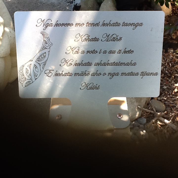 Ariari Lodge and Lake Rotorangi gallery image 4